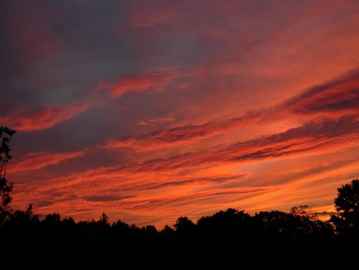 Nature's Fireworks