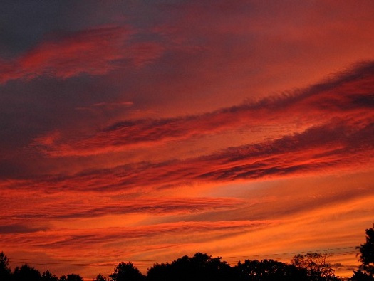 Nature's Fireworks